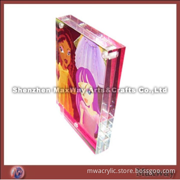 Cartoon Beautiful Acrylic Photo Album/Frame